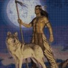 Wolf and indian cross stitch pattern in pdf DMC