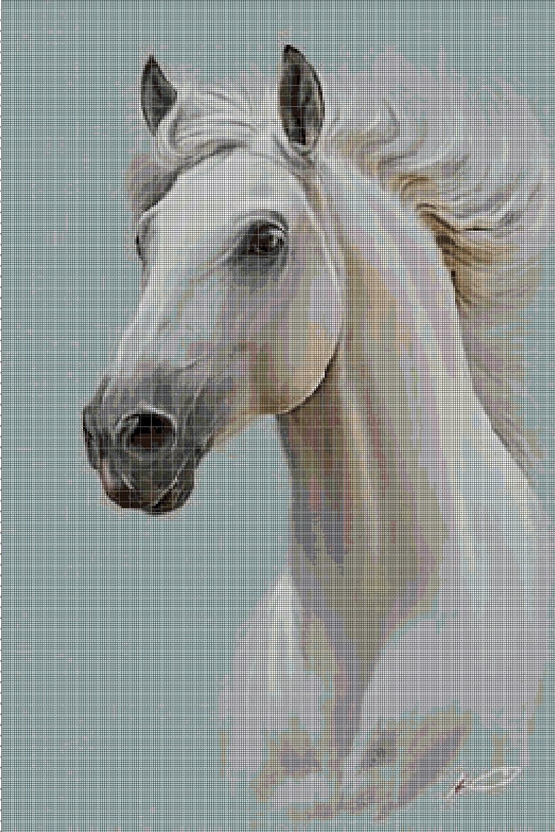 White horse head cross stitch pattern in pdf DMC