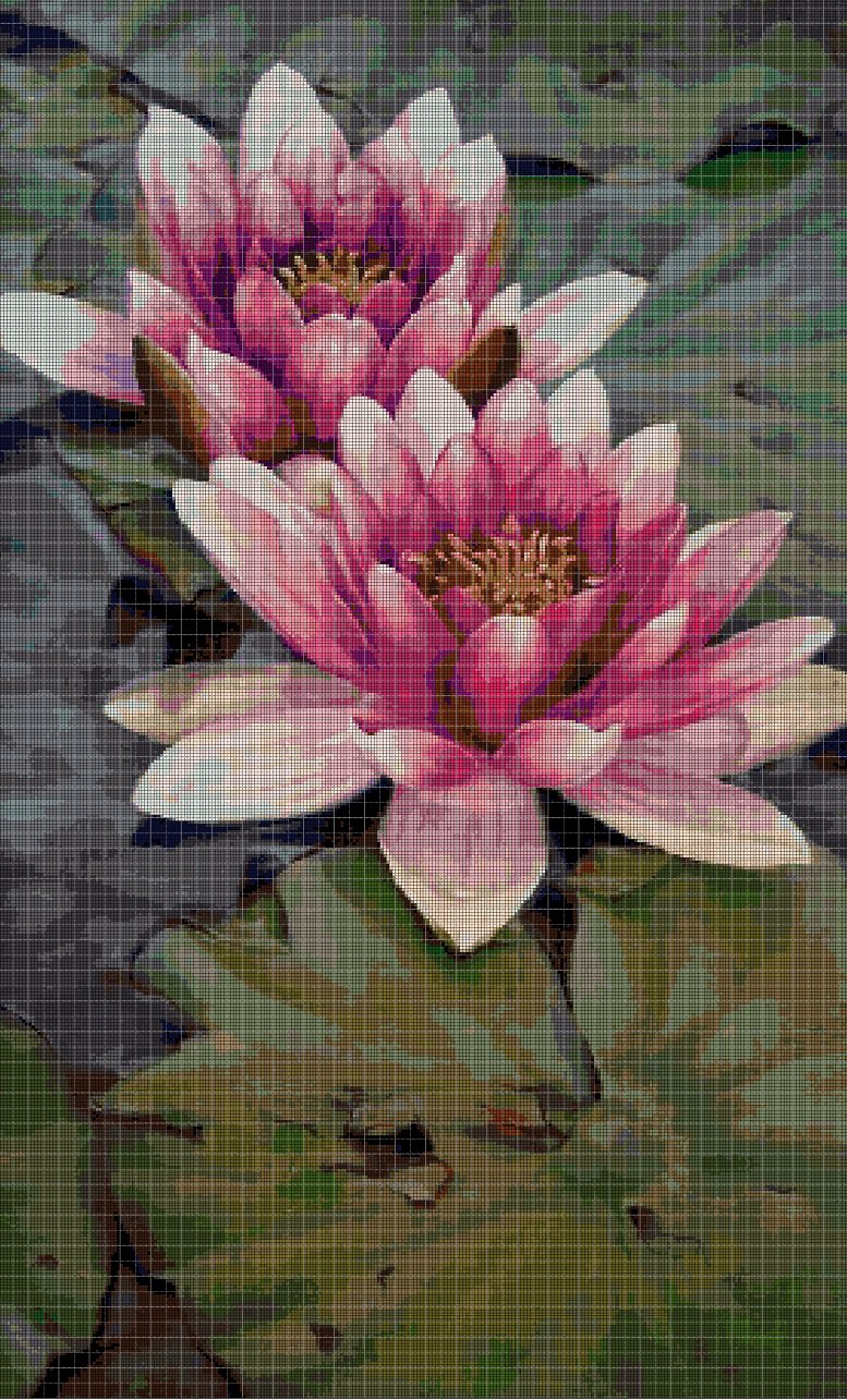 Water lily cross stitch pattern in pdf ANCHOR