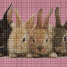 Bunnies 2 cross stitch pattern in pdf DMC