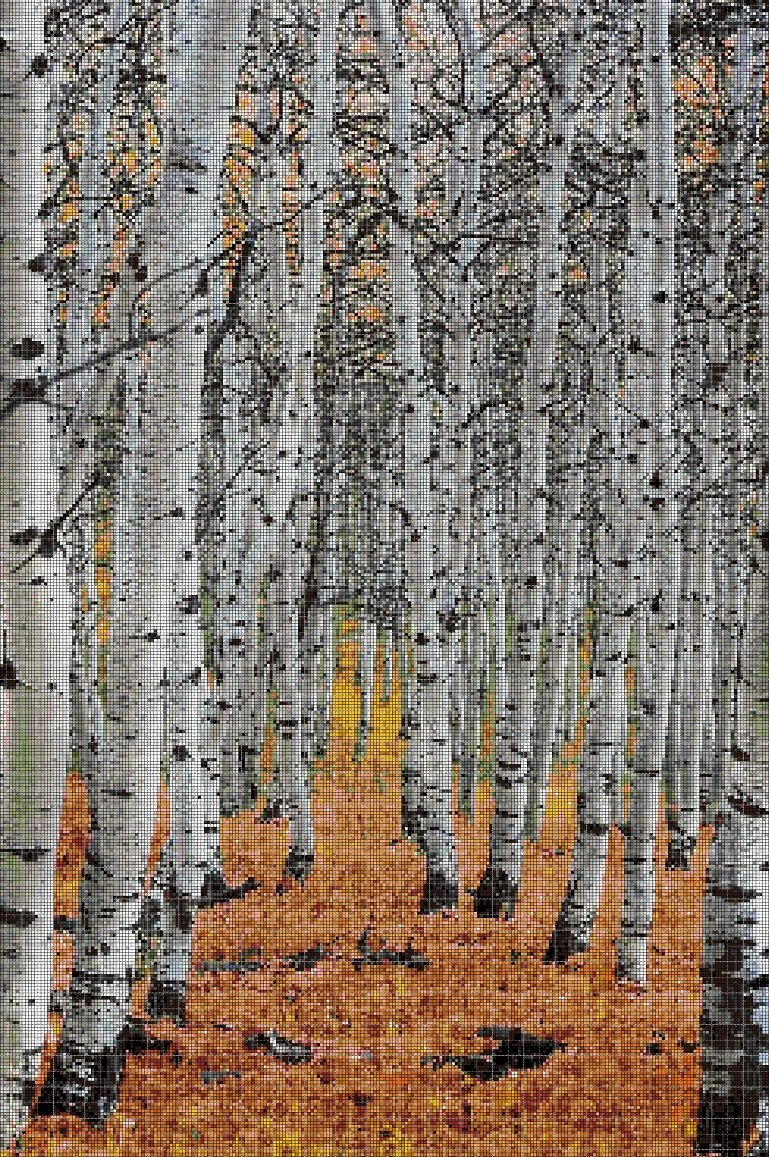 Birch trees cross stitch pattern in pdf DMC