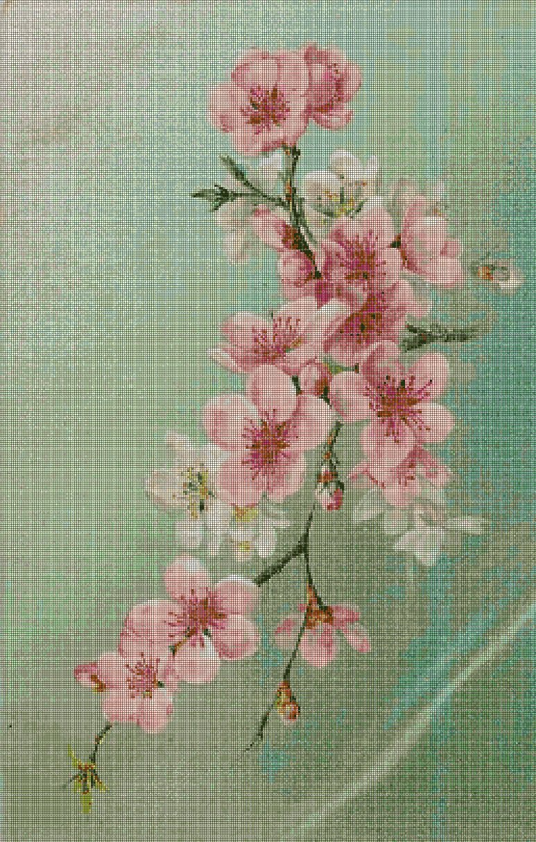 Blossom 2 cross stitch pattern in pdf DMC