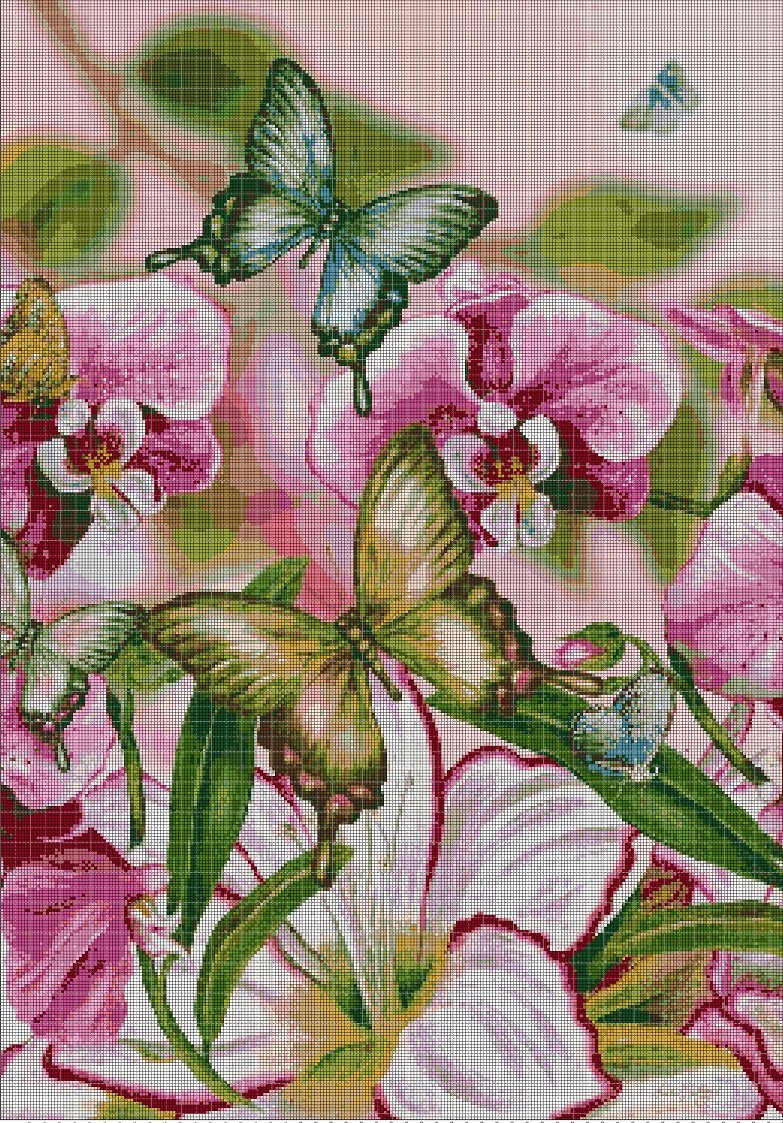 Butterflies and orhids 2 cross stitch pattern in pdf DMC
