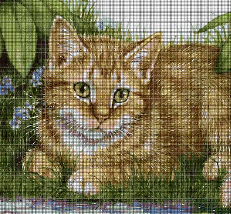 Cat in grass cross stitch pattern in pdf DMC