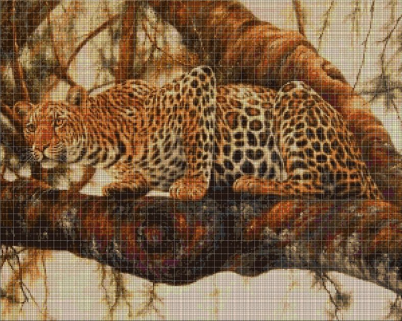 Cheetah  cross stitch pattern in pdf DMC