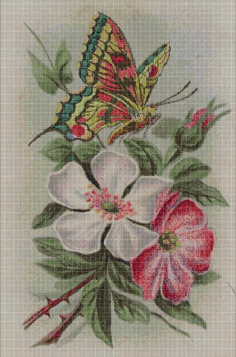 Flowers and butterfly-vintage cross stitch pattern in pdf DMC