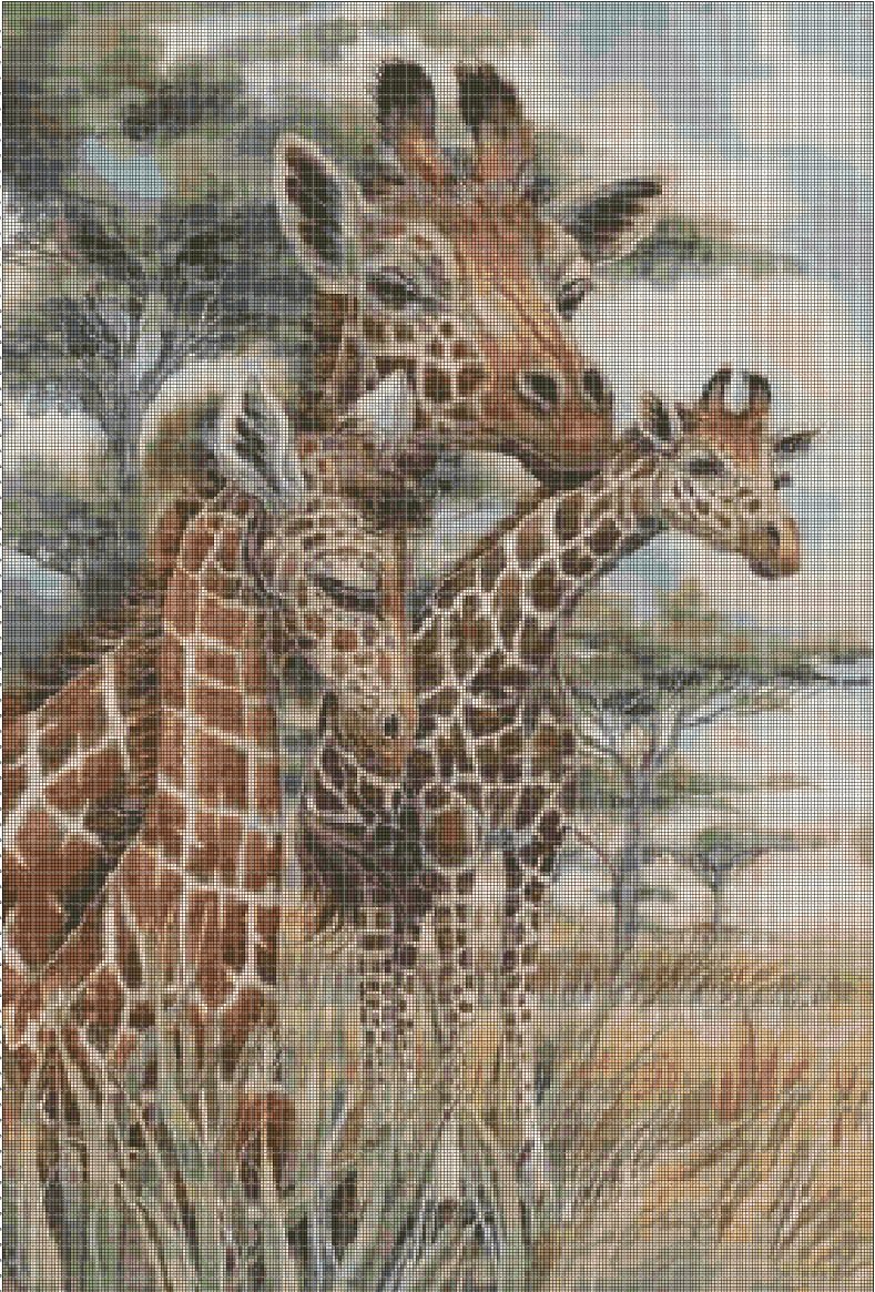 Giraffes 2 cross stitch pattern in pdf DMC