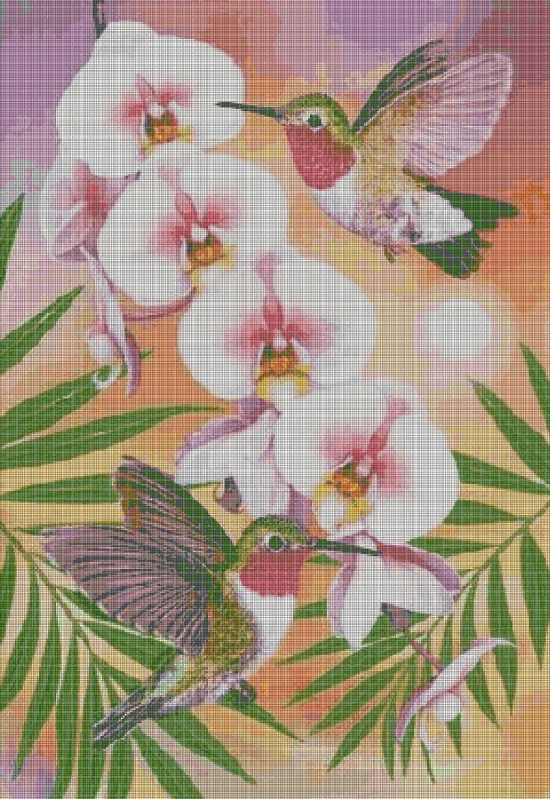 Hummingbirds And Orchids cross stitch pattern in pdf DMC
