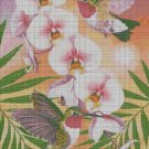 Hummingbirds And Orchids cross stitch pattern in pdf DMC