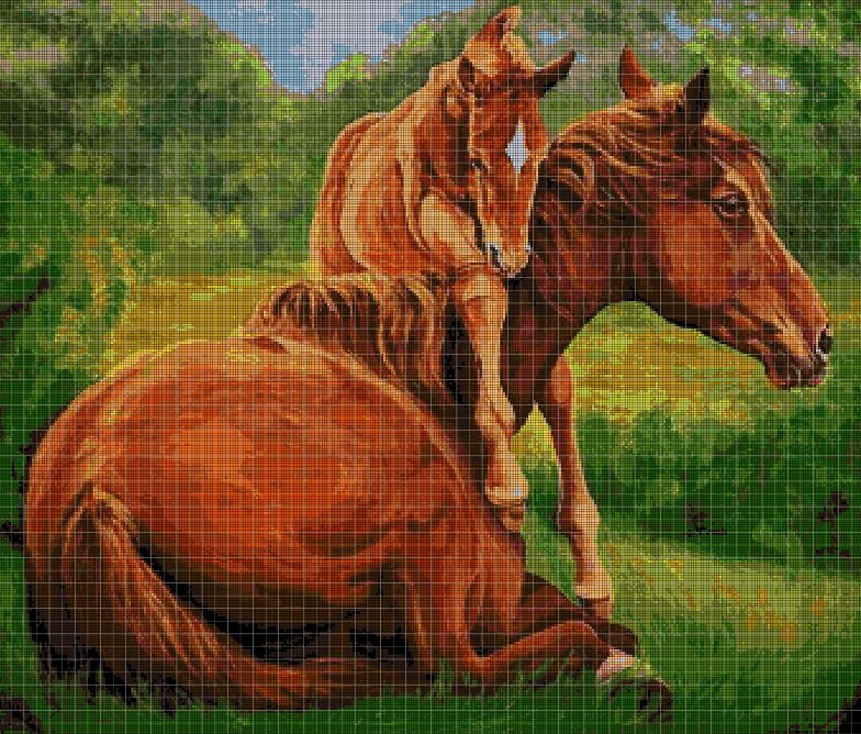 Horses 3 cross stitch pattern in pdf DMC