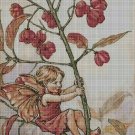 Flower fairy 25 cross stitch pattern in pdf DMC