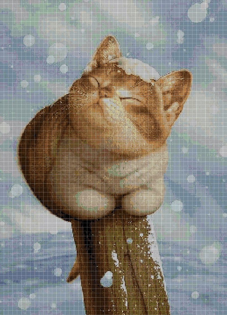 Kitten in snow cross stitch pattern in pdf DMC
