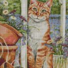 Kitten in the window cross stitch pattern in pdf DMC