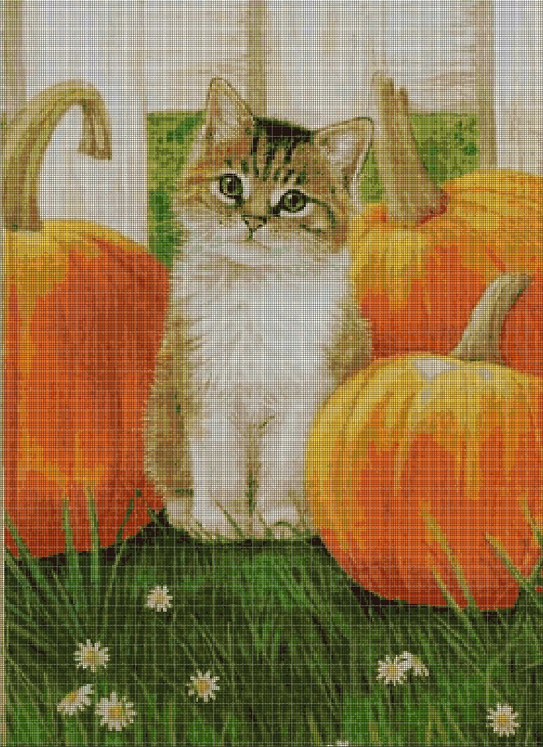 Kitten with pumpkins cross stitch pattern in pdf DMC