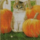 Kitten with pumpkins cross stitch pattern in pdf DMC