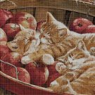 Kitty on apples cross stitch pattern in pdf DMC