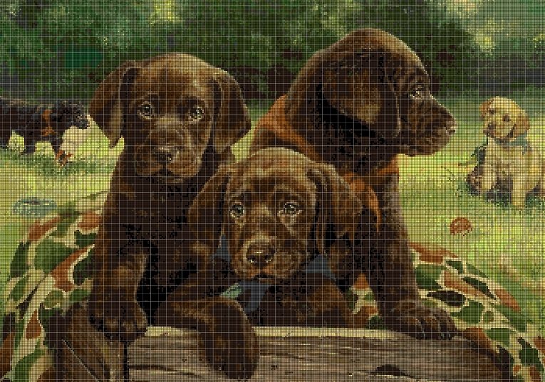 Labradors in box cross stitch pattern in pdf DMC