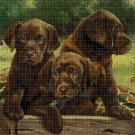 Labradors in box cross stitch pattern in pdf DMC