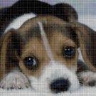 Little beagle cross stitch pattern in pdf DMC