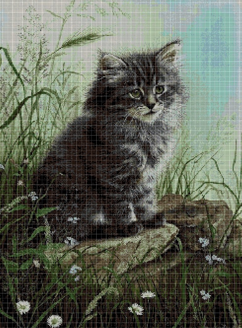 Little cat in the grass cross stitch pattern in pdf DMC