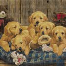 Little dogs cross stitch pattern in pdf DMC