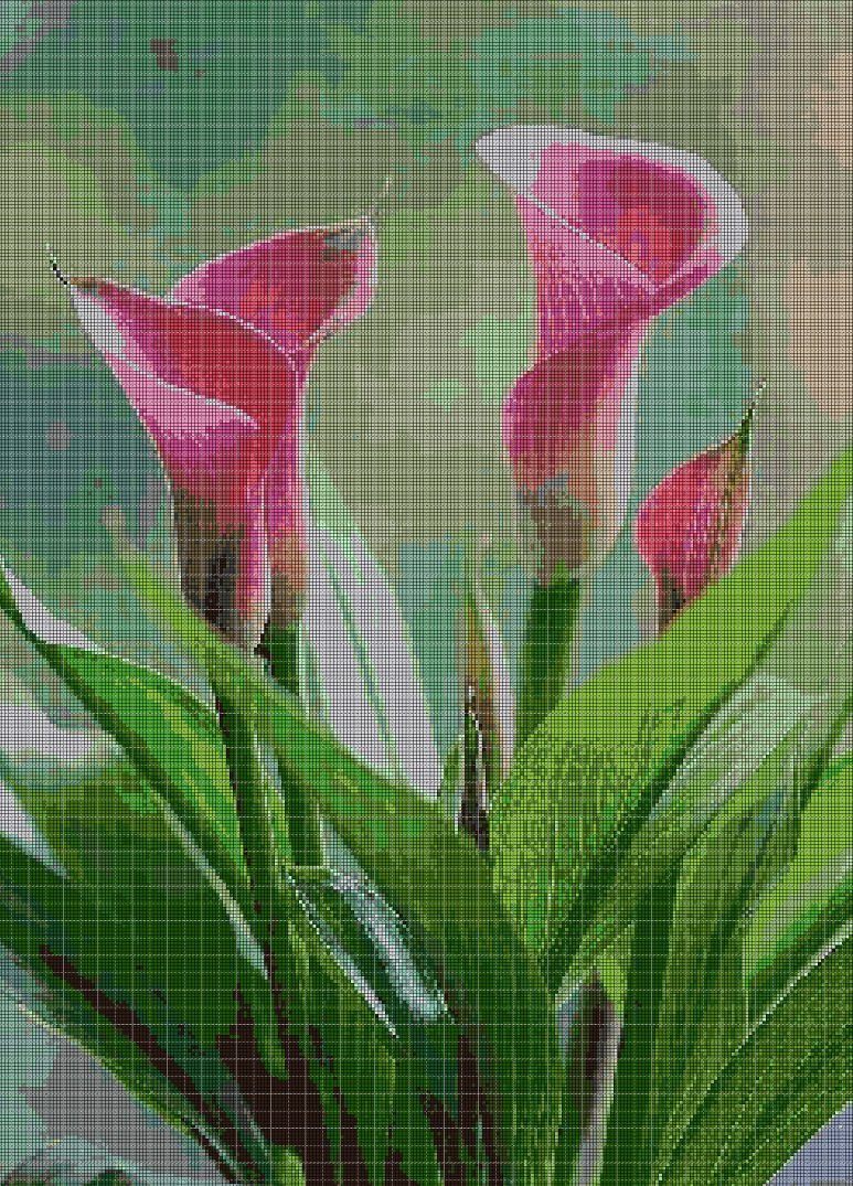 Calla lilies cross stitch pattern in pdf DMC