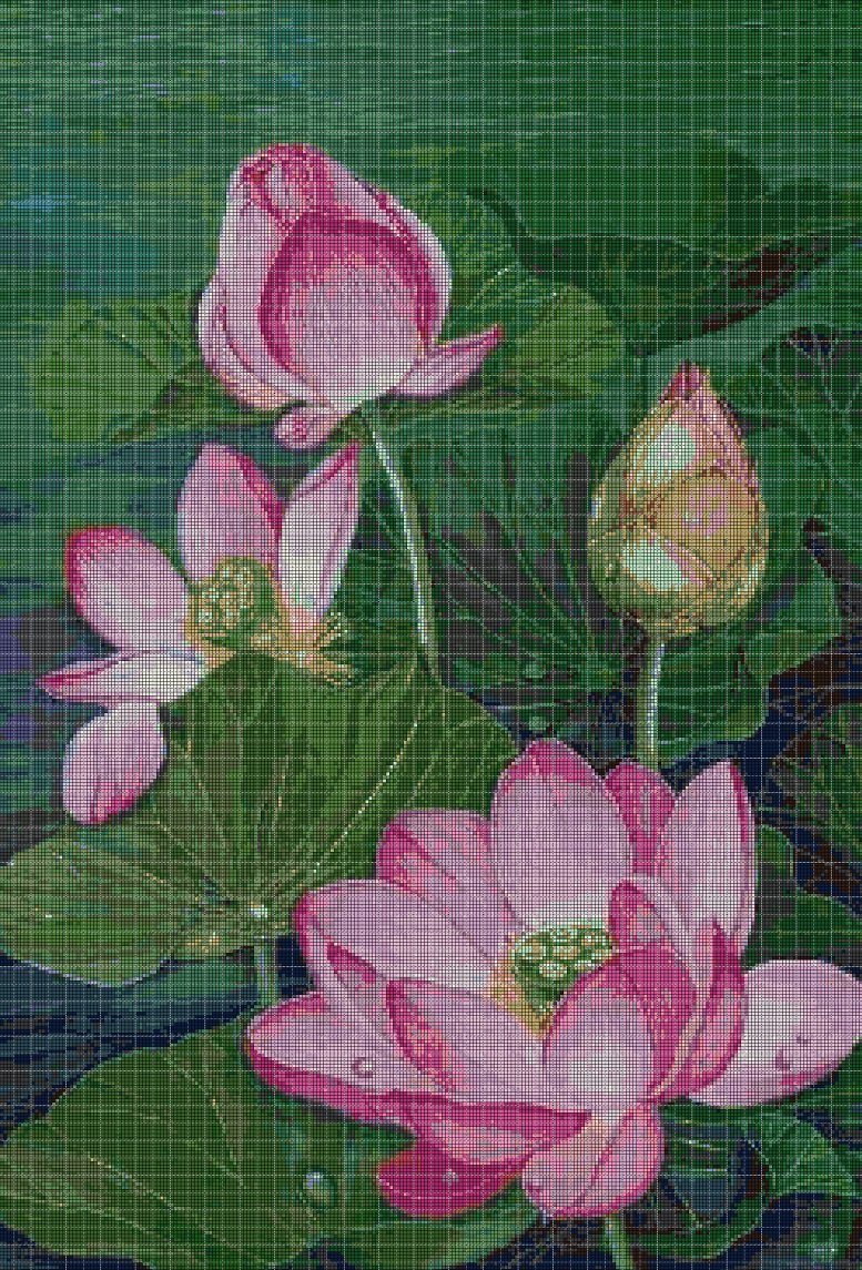 Pink lotus flower cross stitch pattern in pdf DMC