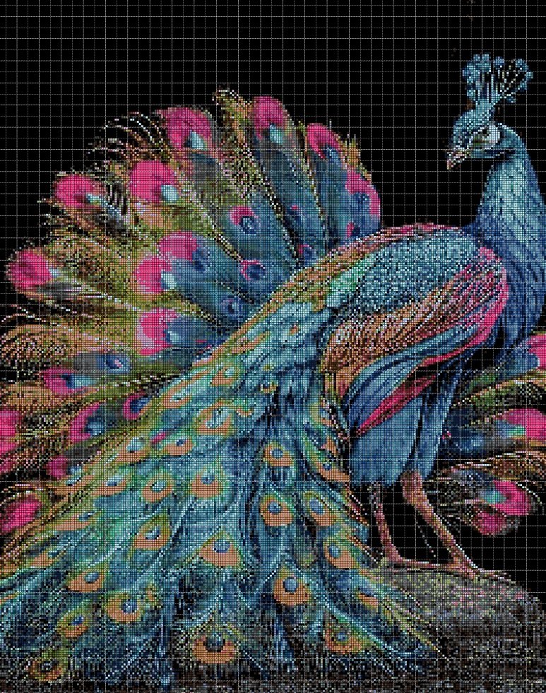 Peacock 2 cross stitch pattern in pdf DMC