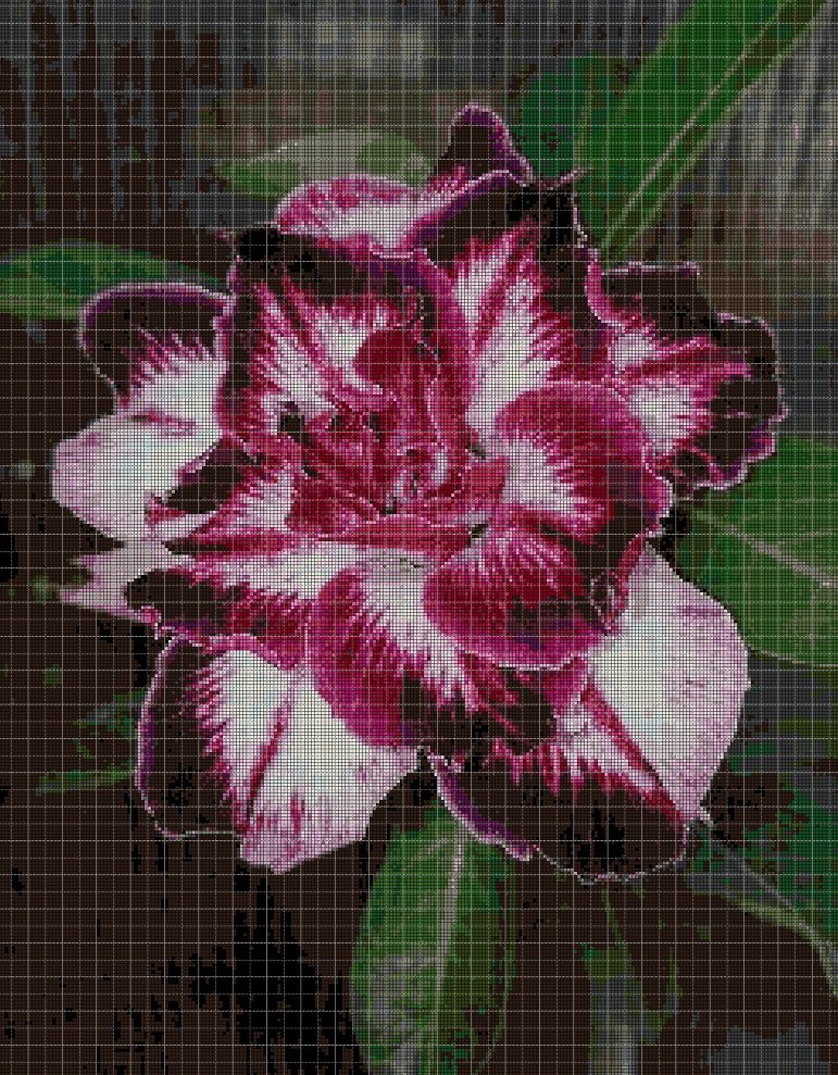 Desert rose cross stitch pattern in pdf DMC