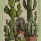 Potted cactuses cross stitch pattern in pdf DMC
