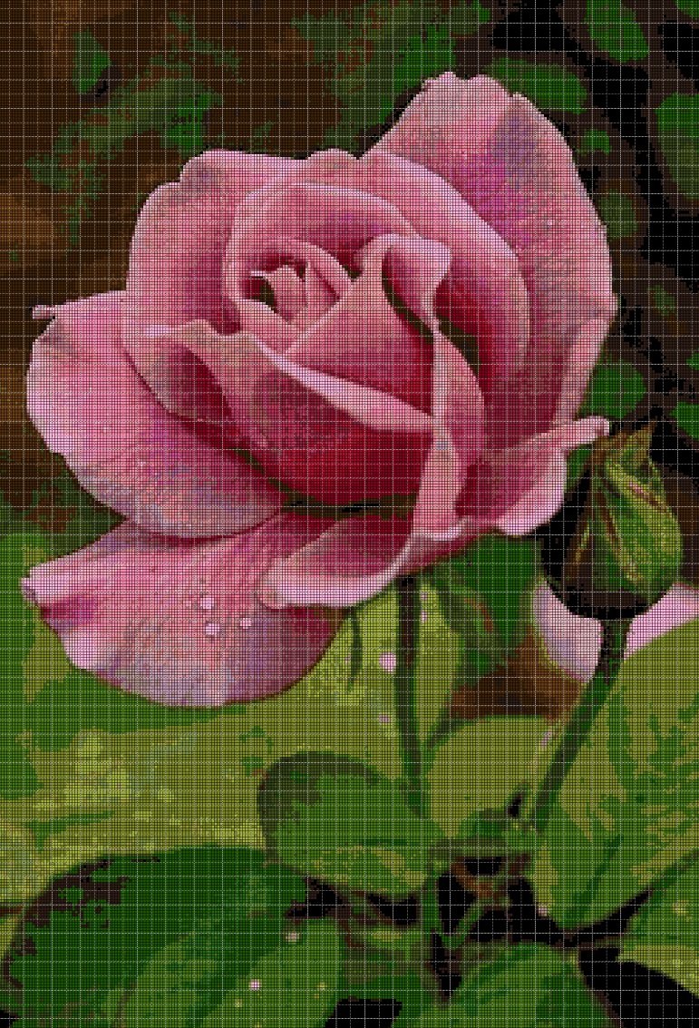 Beautiful roses 2 cross stitch pattern in pdf DMC
