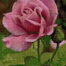Beautiful roses 2 cross stitch pattern in pdf DMC
