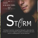 Storm Bad Boys of Dry River, Wyoming Book 6