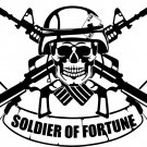 Soldier Of Fortune Skull Guns Army Car Truck Window Laptop Vinyl Decal Sticker