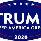 TRUMP PRESIDENT 2020 STICKER FREEDOM AMERICA GREAT GRAPHIC DECAL BUMPER STICKER