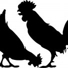 Farm Chicken Rooster Hen Country Car Truck Trailer Window Vinyl Decal Sticker