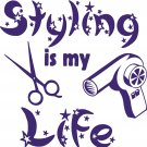 Hair Life Stylist Beauty Salon Shop Car Truck Window Wall Vinyl Decal Sticker