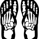 Flip Flops Skeleton Skull Feet Car Truck Window Wall Laptop Vinyl Decal Sticker