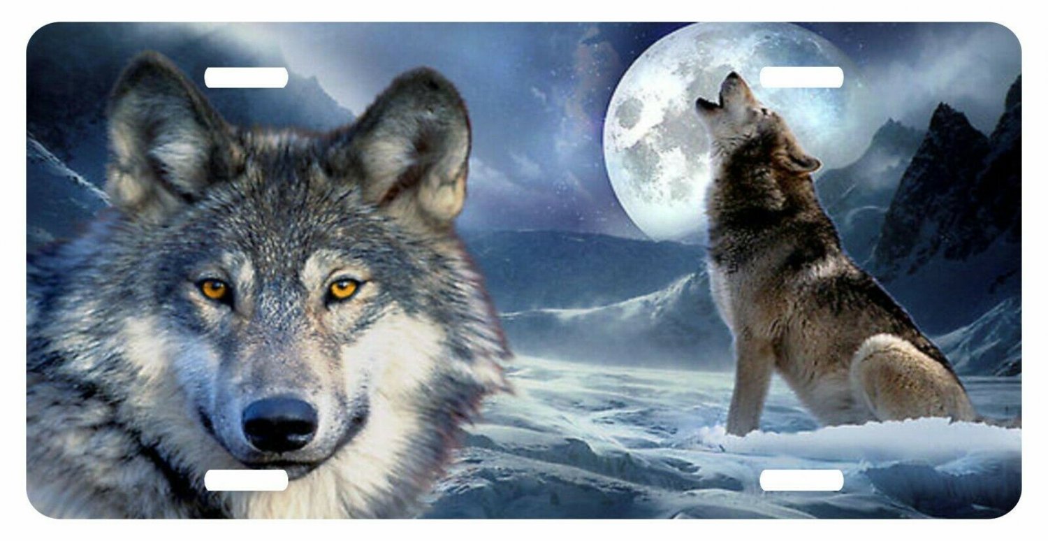 Wolf Wolves Pack Hunting Beast Dog Moon Hunter Novelty Car Truck License Plate
