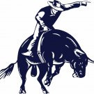 Bull Riding Rodeo Cowboy Sports PBR Car Truck Window Laptop Vinyl Decal Sticker