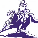 Cowgirl Barrel Racing Rodeo Horse Western Car Truck Window Vinyl Decal Sticker
