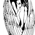 Angel Fairy Wings Women Girl Car Truck Window Vinyl Decal Sticker