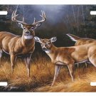 Deer Doe Buck Barn Farm Hunting Hunter Bow Field License Plate Car Truck Tag