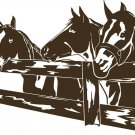 Horse Rodeo Western Fence Pasture Car Truck Window Laptop Vinyl Decal Sticker