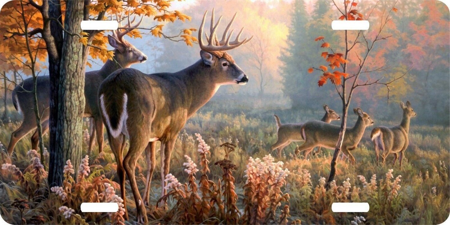 Deer Hunting Trees Field Woods Buck License Plate Car Truck Tag