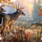 Deer Hunting Trees Field Woods Buck License Plate Car Truck Tag
