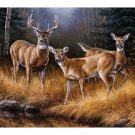 Deer Buck Doe Field Farm Hunting Woods Metal Novelty Room Wall Sign Plate Plaque
