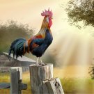 Rooster Farm Barn Farmyard Chicken Kitchen Metal Novelty Room Wall Sign Plaque