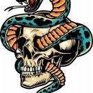 Snake Skull Head Car Boat Truck Laptop Window Vinyl Decal Sticker