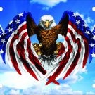 American Eagle Flag USA Freedom License Plate Car Truck Tag